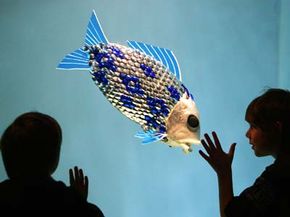Les poissons-robots peuvent-ils trouver de la pollution ?