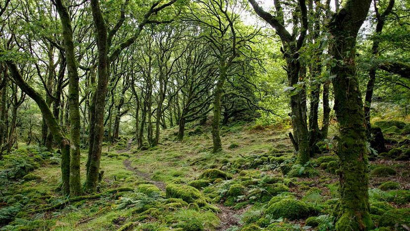 The 1980s Montreal Protocol: Saving Ozone and Slowing Climate Change