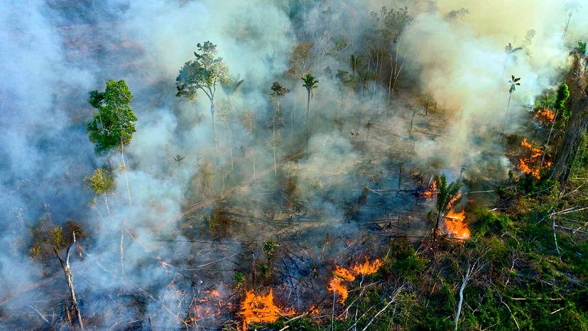 Amazon Shift: Fires and Deforestation Turn Rainforest into a Carbon Source