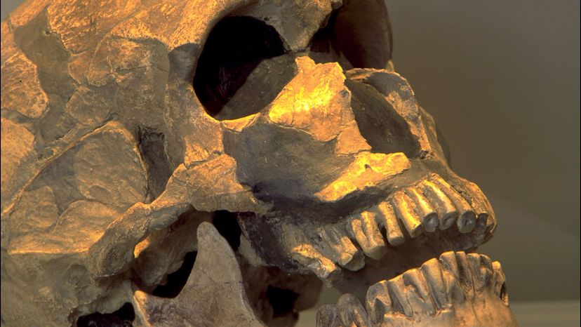 Neanderthals Buried a Toddler: Evidence from La Ferrassie