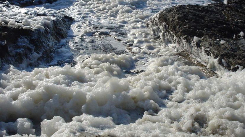 Understanding Sea Foam: Causes, Composition, and Environmental Impact