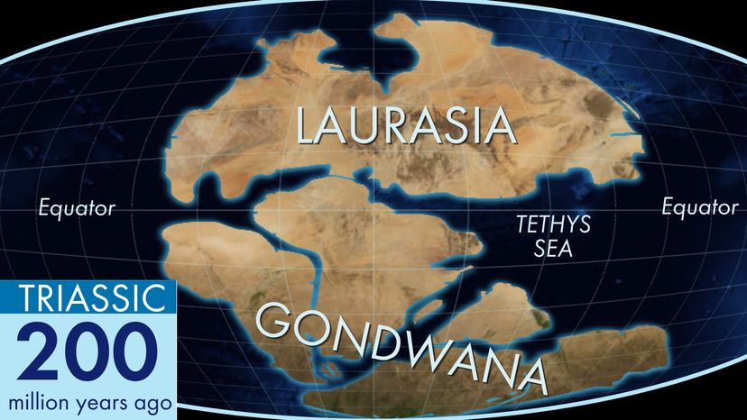 From Gondwana to Modern Continents: Tracing the Ancient Supercontinent s Legacy