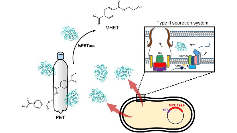 Can Plastic Eating Enzymes Provide the Key to Solving Planetary Plastic Waste?