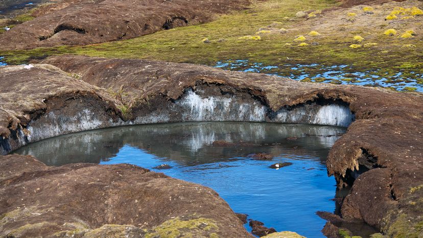 Is Permafrost Truly Permanent? New Scientific Findings
