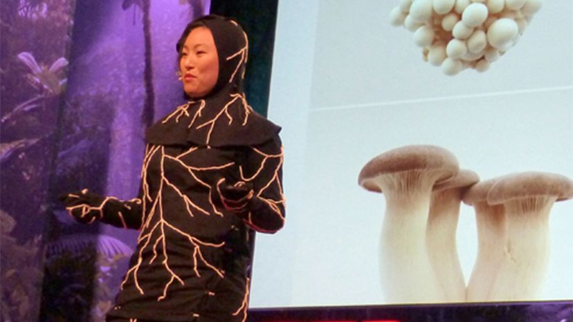 Introducing the Infinity Burial Suit: A Biodegradable Mushroom-Based Burial Solution
