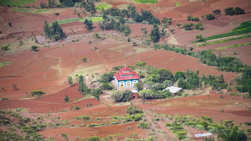 Ethiopia s Church Forests: The Last Green Oases in a Desert Landscape