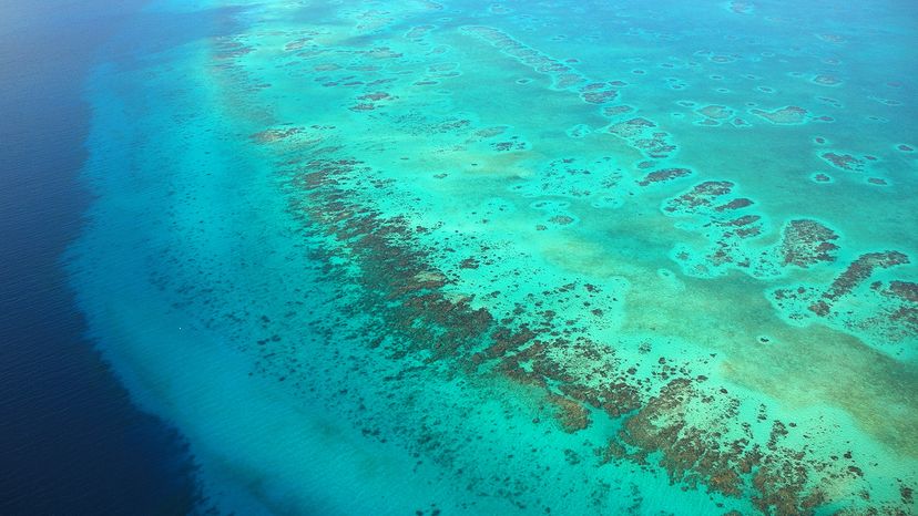 Five Inspiring Environmental Success Stories from 2018