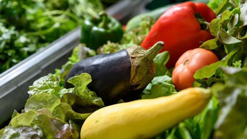 Georgia Tech Innovates: Turning Campus Wastewater into Nutrient‑Rich Hydroponic Food