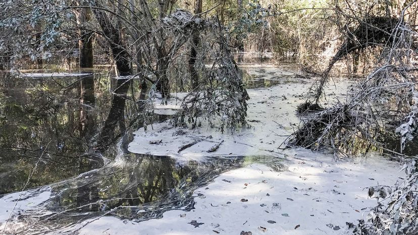 The Hazardous Impact of Coal Ash on Waterways
