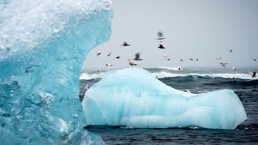 Towing Icebergs to Drought-Stricken Areas: An Innovative Water Solution
