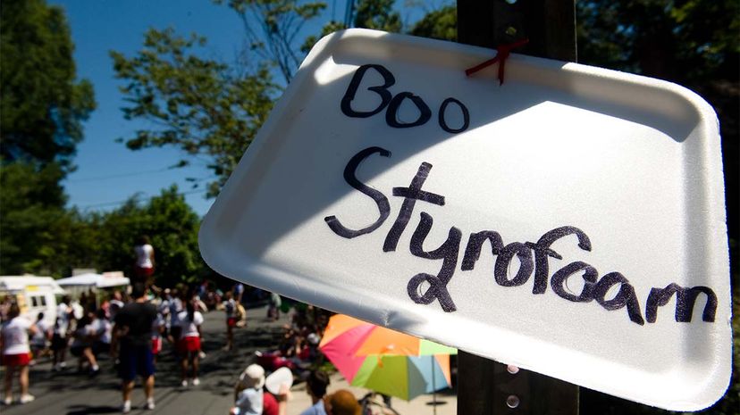 Nanowood: The Sustainable Alternative to Styrofoam