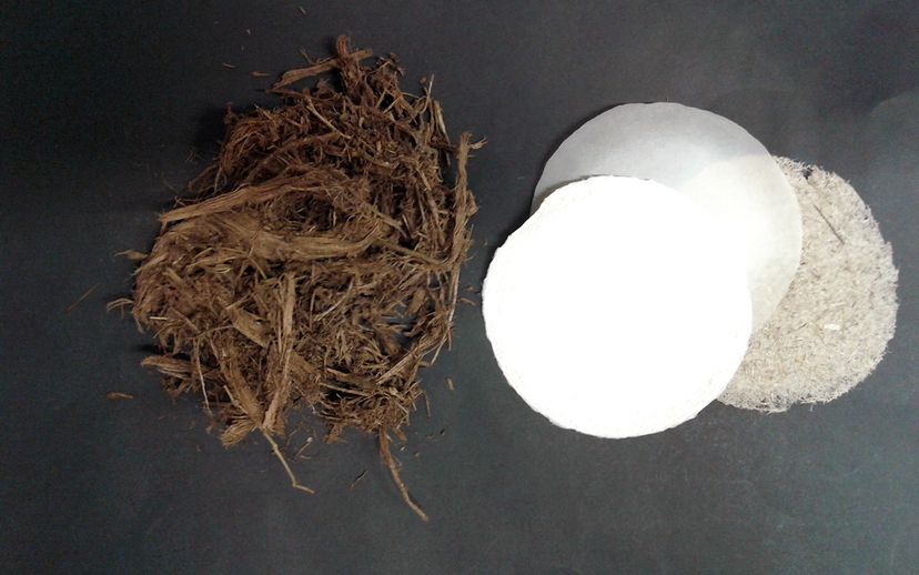 Poo-pyrus: Sustainable Paper Crafted from Animal Manure