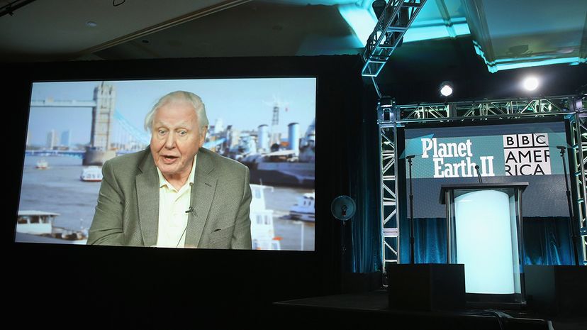 Queen Elizabeth II Prohibits Plastic Use on Royal Estates