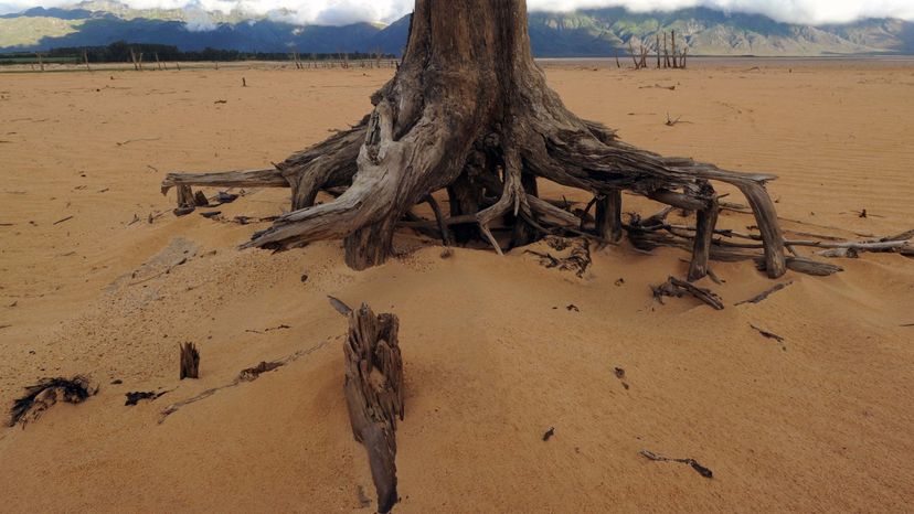 Cape Town at Risk of Water Shortage: First Major City Threatened by Drought