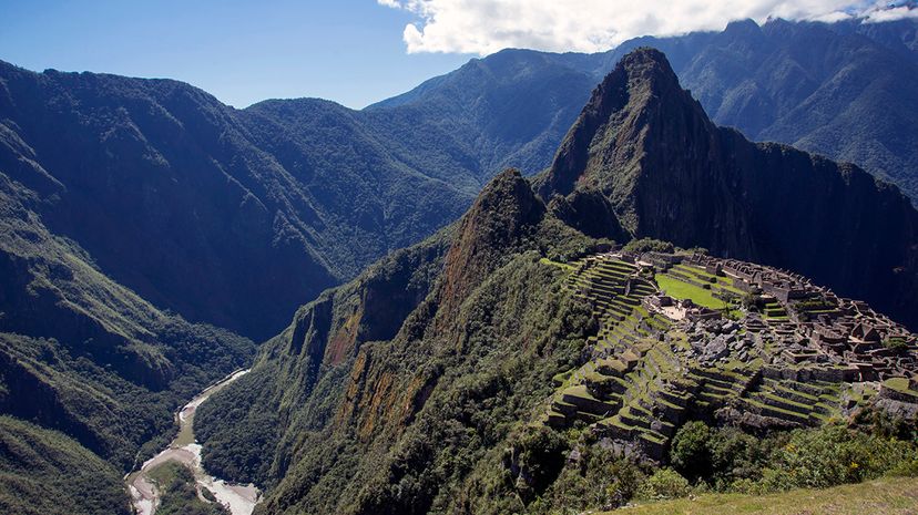 Preserving Tropical Forests: A Key Strategy to Mitigate Climate Change