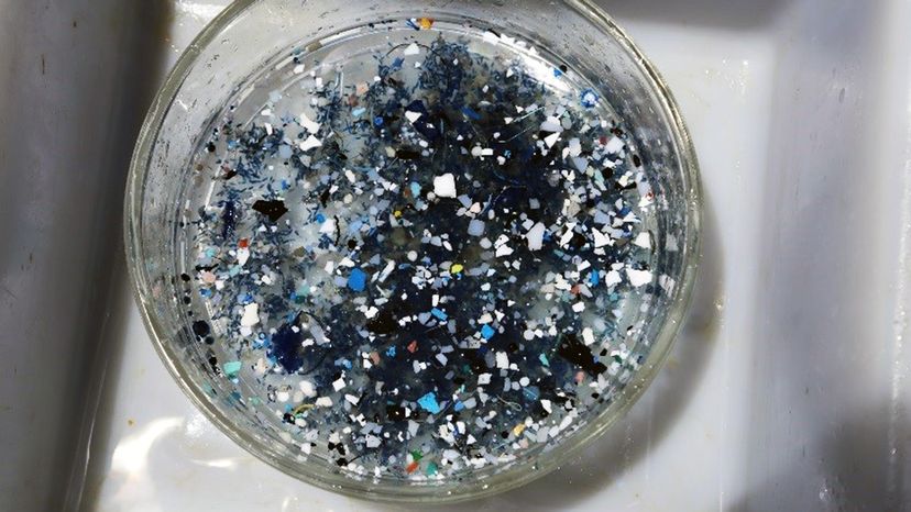 New Discovery: Massive Second Plastic Garbage Patch Found in the Pacific Ocean