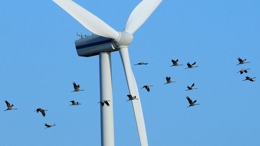 The Truth Behind Wind Power Criticisms: What They Get Wrong