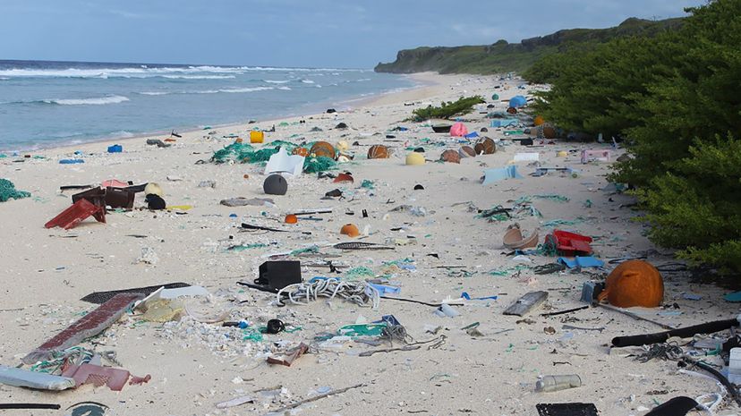 Henderson Island: Remote Paradise Overrun by Human Waste