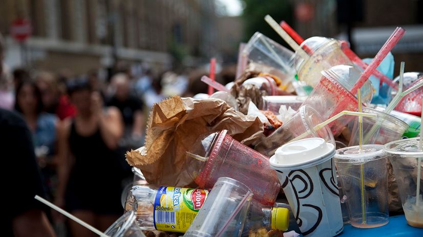 Every Day, Americans Use 500 Million Plastic Straws—Join the Movement to End Single-Use Straws