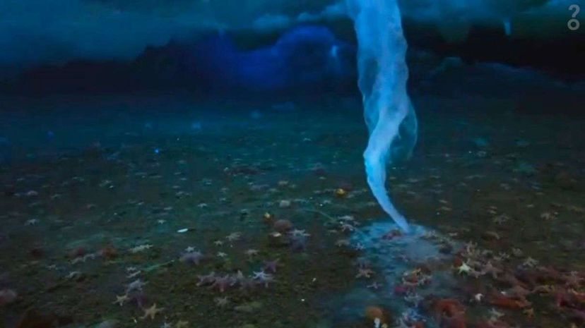 Brinicles: Salty, Strange, and Deadly Underwater Icicles Unveiled