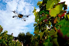 How Drones Are Revolutionizing Modern Agriculture