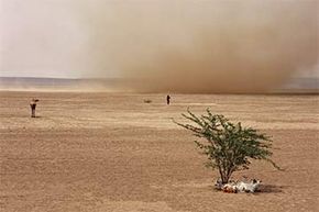 Will the Afar Rift Create Earth s Next Ocean?