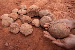 Recreating Dinosaurs from Fossil Embryos: Is It Possible?