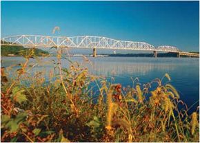 Impact of Road Types on the Environment: What You Need to Know