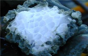 Understanding Natural Gas Hydrates: Formation, Properties, and Energy Potential