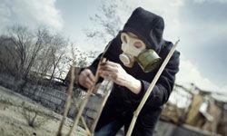 Top 5 Eco‑Friendly Survival Tactics for the Post‑Apocalyptic World