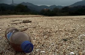 Understanding the Pacific Garbage Patch: Latest Insights & Updates