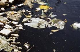 Protect the Pacific: Stop Your Trash from Entering the Ocean Vortex