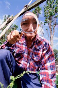 Understanding Anthropology: How the Study of Human Cultures Unfolds