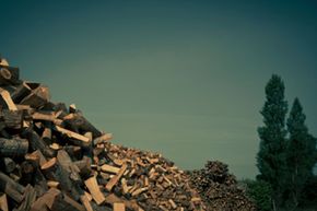 Do Doomsday Narratives Hinder Climate Action?