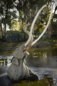 How the La Brea Tar Pits Preserve Prehistoric Fossils