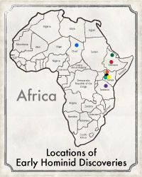 How Archaeology Reveals the Roots of Humanity