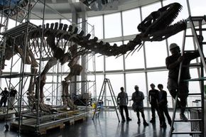 How Soft Tissue Can Be Preserved in Dinosaur Fossils