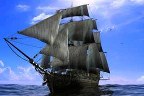 Do Invasive Species Contaminate the Genetic Diversity of Native Species?