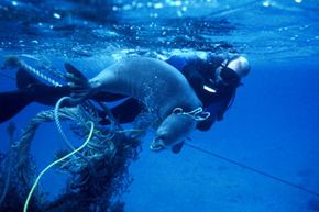 Cleaning the Great Pacific Garbage Patch: Strategies and Challenges