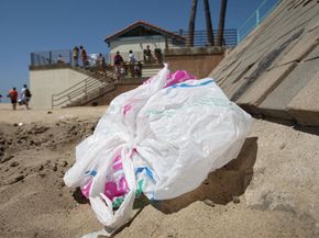 Are Plastic Bags Truly Green? Understanding Their Environmental Impact