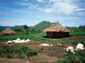 The Lake Nyos Disaster: How a Sudden CO₂ Release Killed 1,700 in 1986