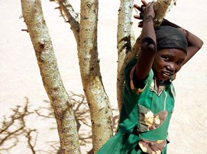 Solar Cookers: Saving Lives and Fuel in Chad and Darfur