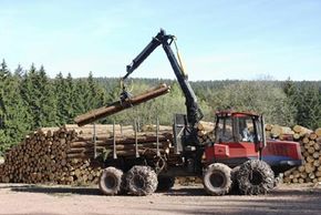 Understanding Forest Stewardship Council (FSC) Certification: Purpose, Process, and Impact