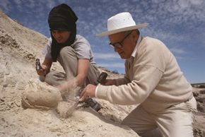 How Scientists Reveal the Secrets Inside Dinosaur Eggs