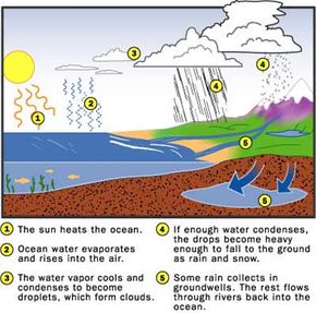 Understanding the Hydrologic Cycle: How Water Shapes Our Planet