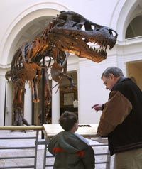 Unveiling Dinosaur Gender: How Scientists Distinguish Male from Female Fossils