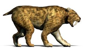 Inside the Saber-Tooth Cat: How Smilodon Fatalis Ruled the Ice Age