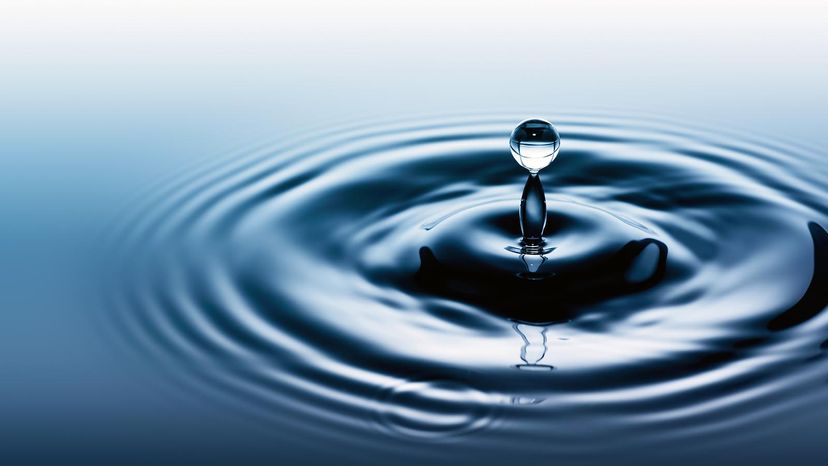 The Science of Water: How It Sustains Life