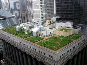 Understanding Green Roofs: Benefits, Design, and Impact