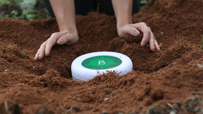 Create a Living Memorial: Transform Loved Ones into Trees with Bios Urn